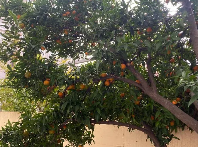 Eagle's Nest * Шкодер